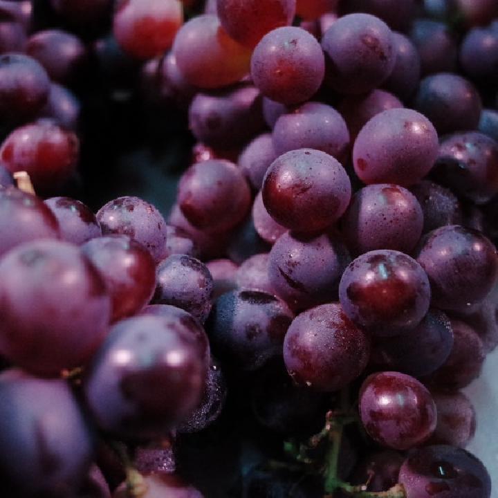 春饼配菜菜谱大全